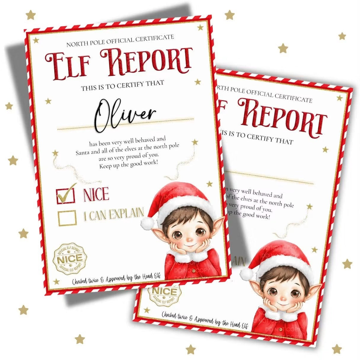 Elf Report Card