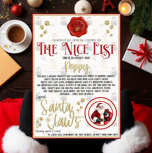 Cat Nice List & Treat Box