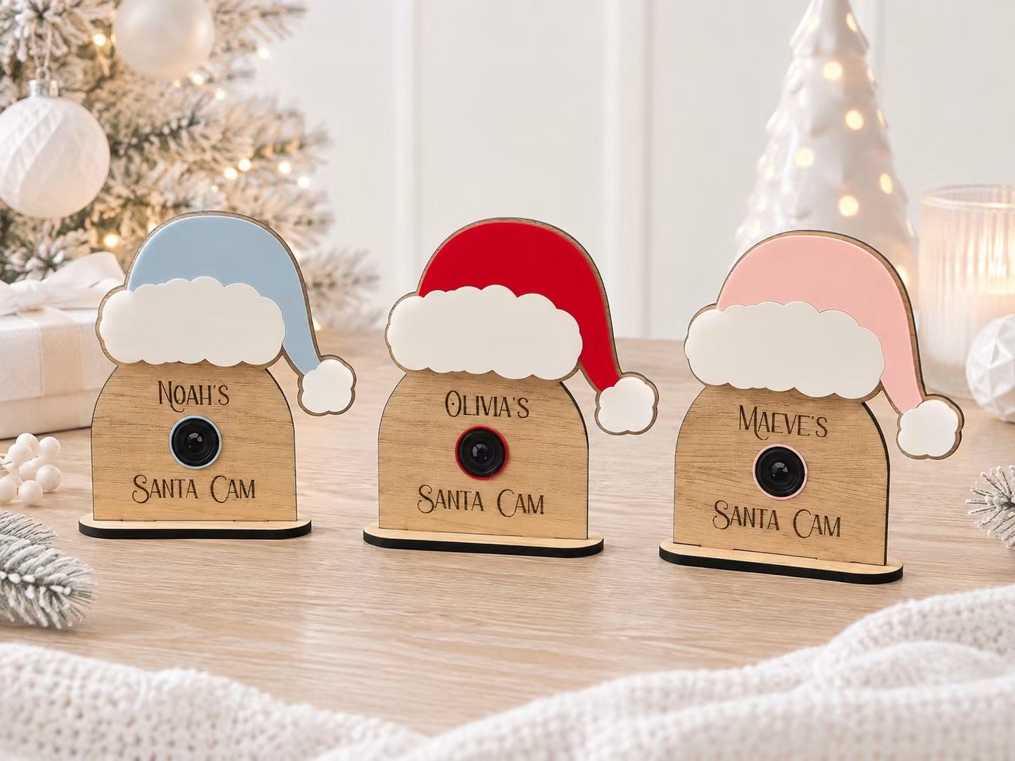 Personalised Santa Cam